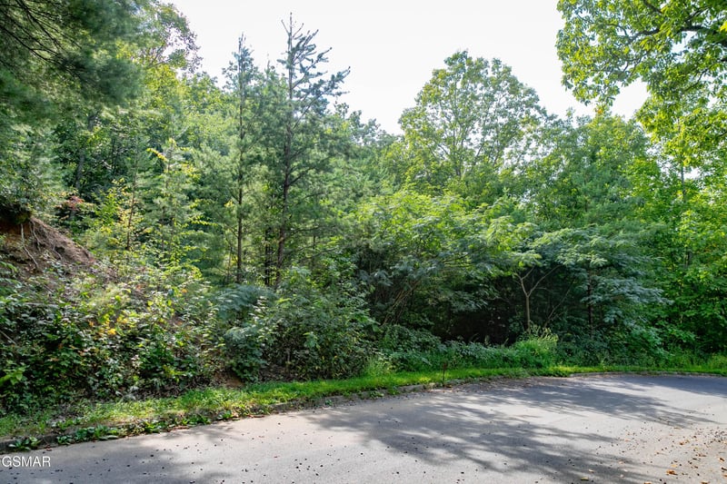 13 Lexy Ln Lot 13, Sevierville, TN 37862