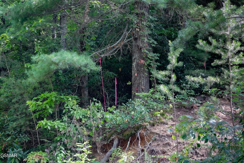 13 Lexy Ln Lot 13, Sevierville, TN 37862