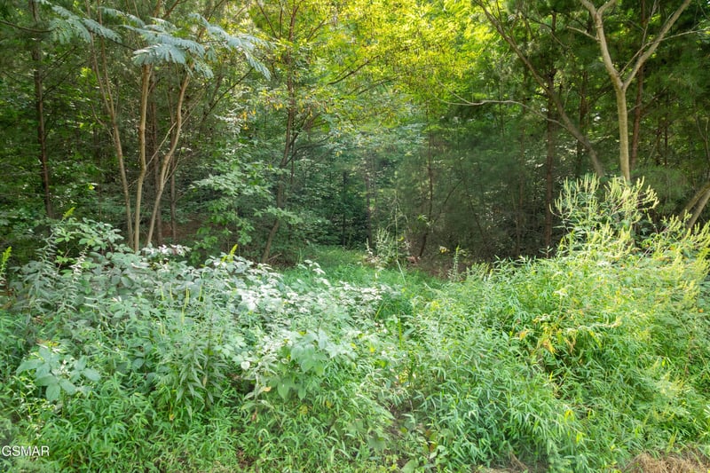 13 Lexy Ln Lot 13, Sevierville, TN 37862