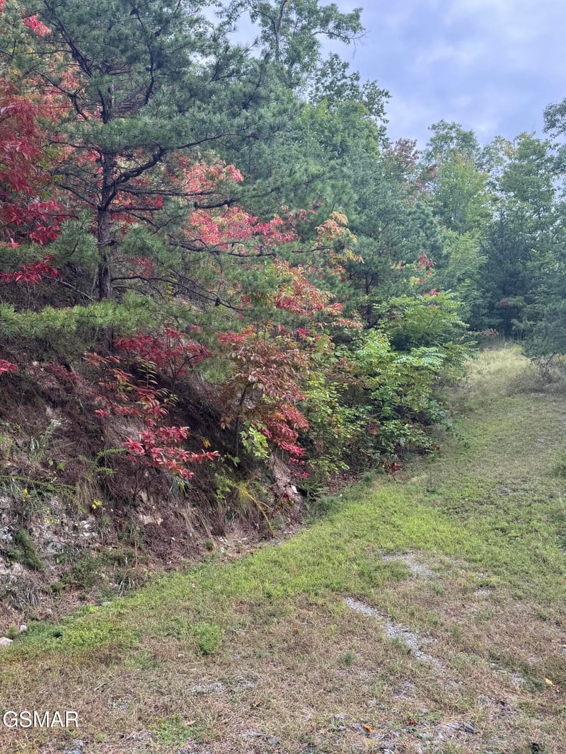 49 Enclave Park Way Lot 49, Sevierville, TN 37862