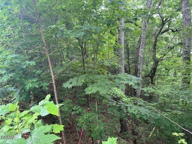 2808 Grist Mill Ln Lot 115R, Sevierville, TN 37862