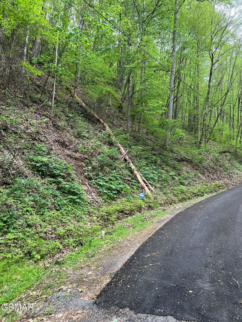 27 Black Walnut Flats Rd, Sevierville, TN 37876