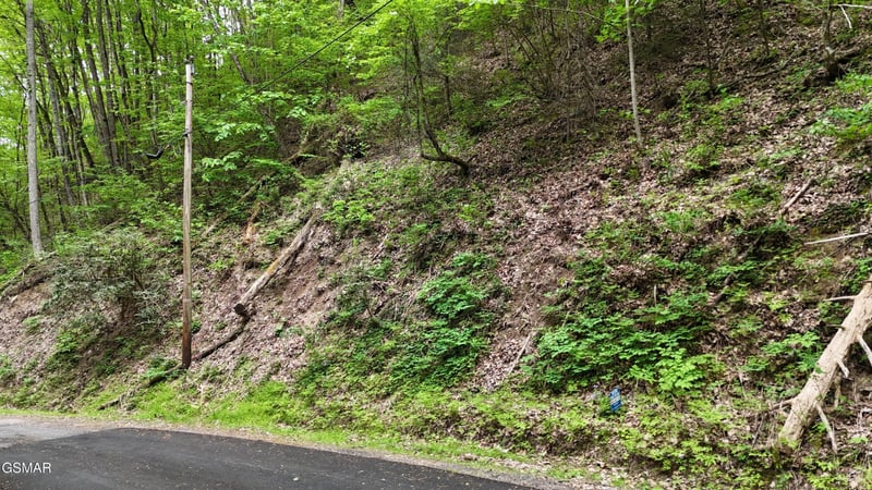 27 Black Walnut Flats Rd, Sevierville, TN 37876