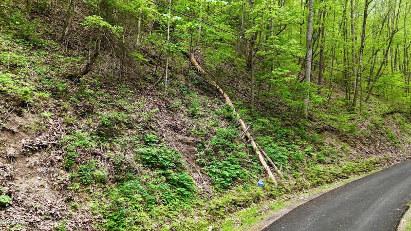 27 Black Walnut Flats Rd, Sevierville, TN 37876