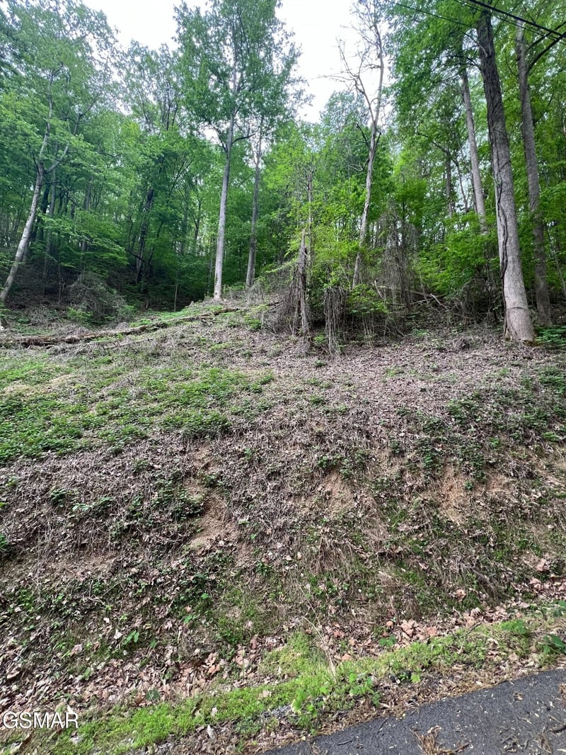 33 Black Walnut Flats Rd, Sevierville, TN 37876