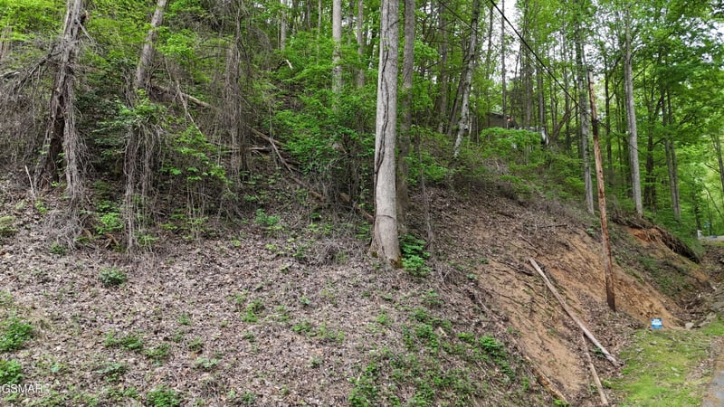 33 Black Walnut Flats Rd, Sevierville, TN 37876