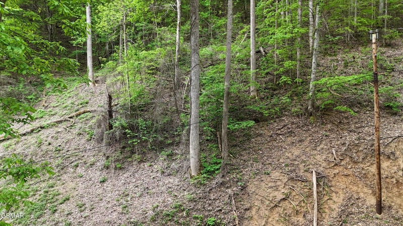 33 Black Walnut Flats Rd, Sevierville, TN 37876