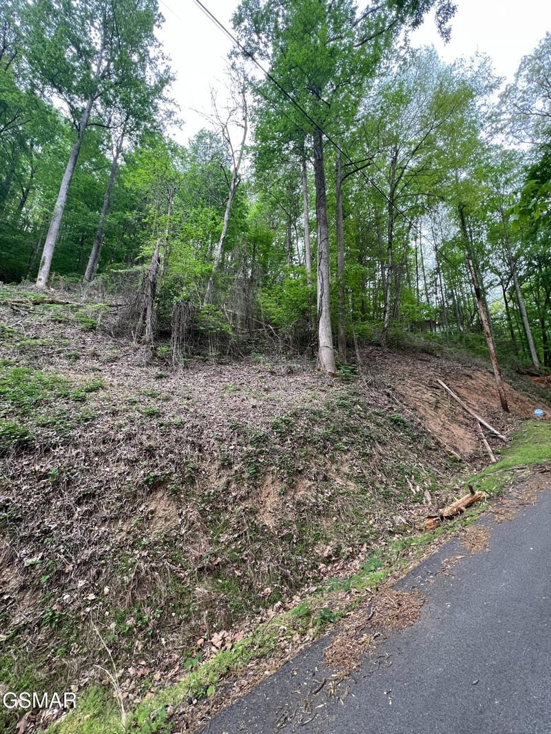 33 Black Walnut Flats Rd, Sevierville, TN 37876