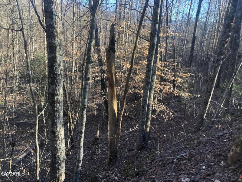 68 Yellowwood Dr Lot 68, Sevierville, TN 37876