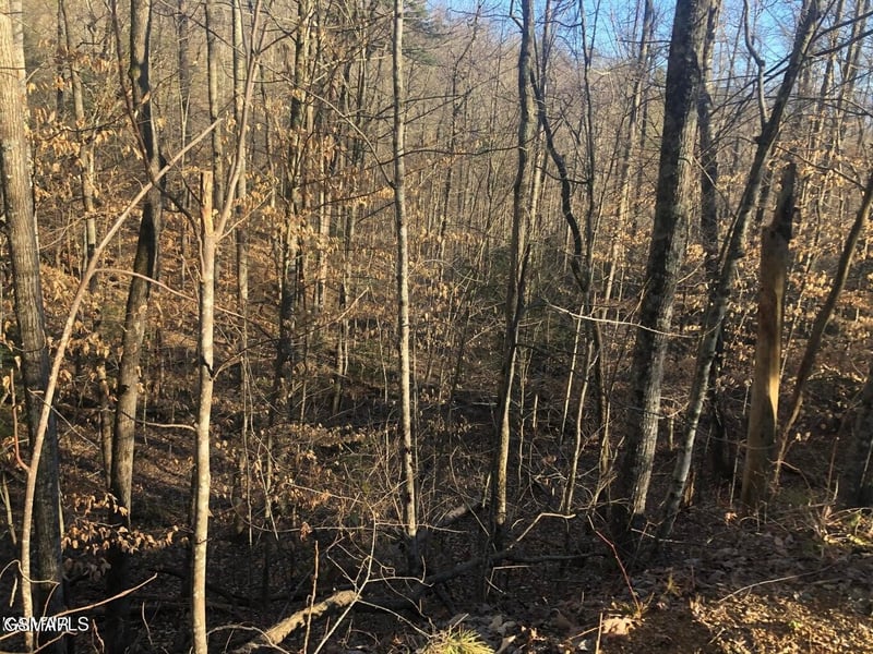 68 Yellowwood Dr Lot 68, Sevierville, TN 37876