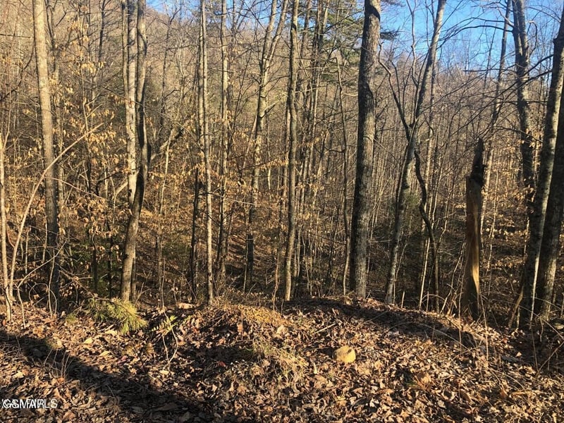 68 Yellowwood Dr Lot 68, Sevierville, TN 37876