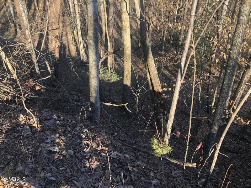 68 Yellowwood Dr Lot 68, Sevierville, TN 37876