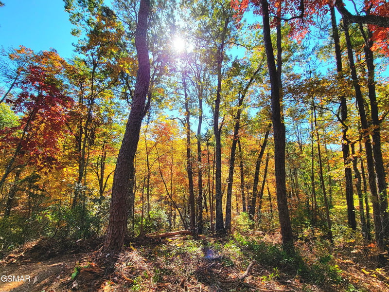 54 Riversong Ridge Way Lot 54, Sevierville, TN 37876