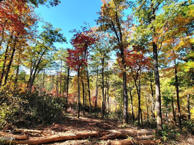 54 Riversong Ridge Way Lot 54, Sevierville, TN 37876