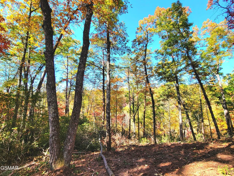 54 Riversong Ridge Way Lot 54, Sevierville, TN 37876