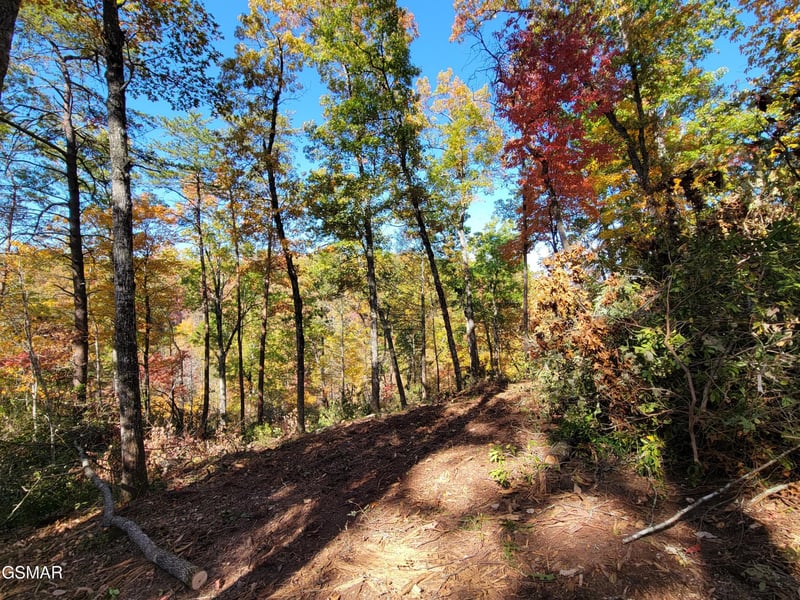 54 Riversong Ridge Way Lot 54, Sevierville, TN 37876