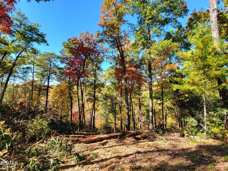 54 Riversong Ridge Way Lot 54, Sevierville, TN 37876
