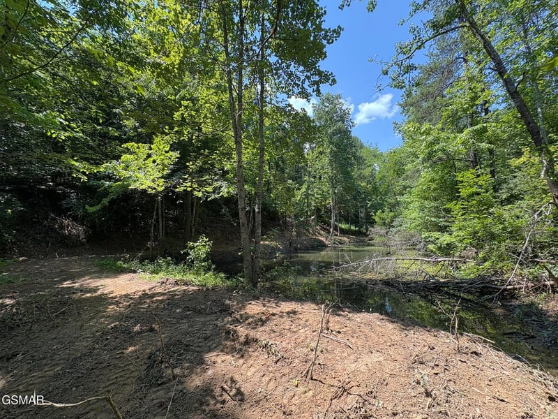 71 Happy Hollow Ln Lot 71, Sevierville, TN 37876