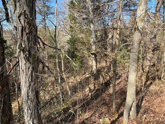 71 Happy Hollow Ln Lot 71, Sevierville, TN 37876