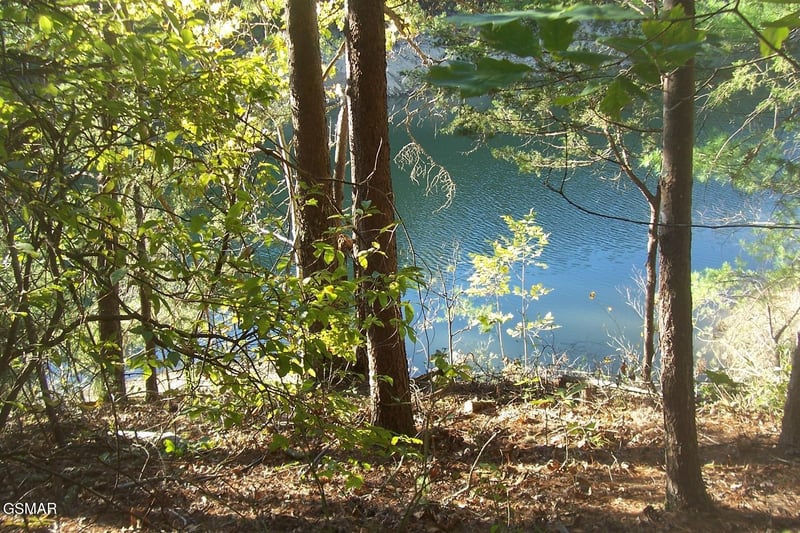 20 Scott St Lot 20, Sevierville, TN 37876