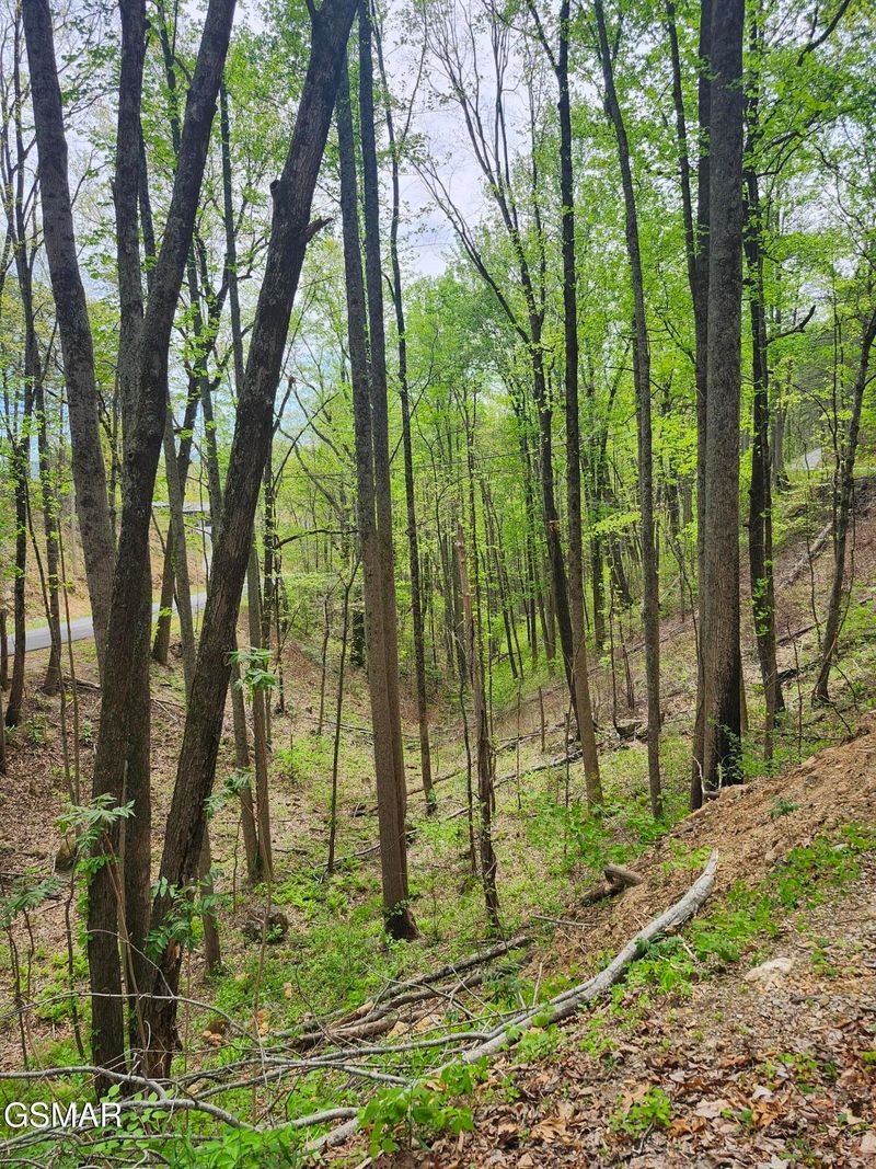 1 Hatcher Mtn Rd Lot 1, Sevierville, TN 37862