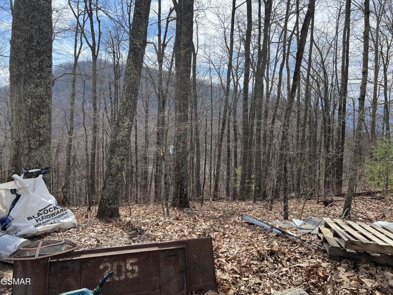 28 Laurel Ln Lot 28, Sevierville, TN 37876