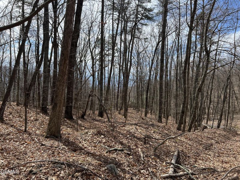 28 Laurel Ln Lot 28, Sevierville, TN 37876
