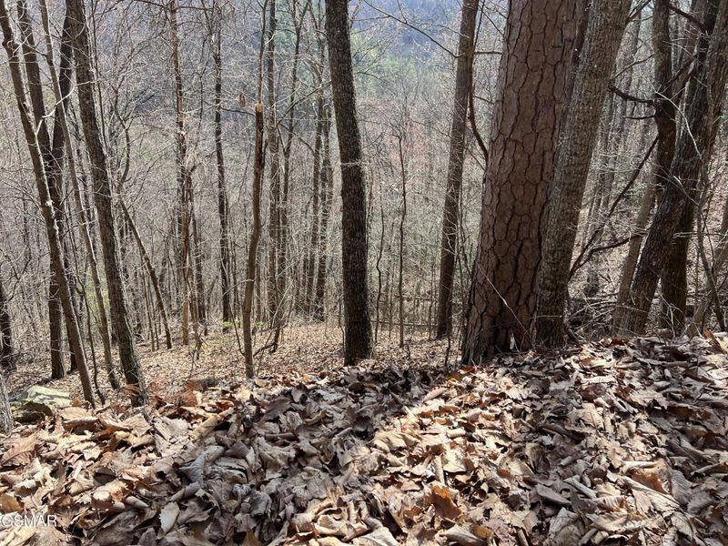 28 Laurel Ln Lot 28, Sevierville, TN 37876