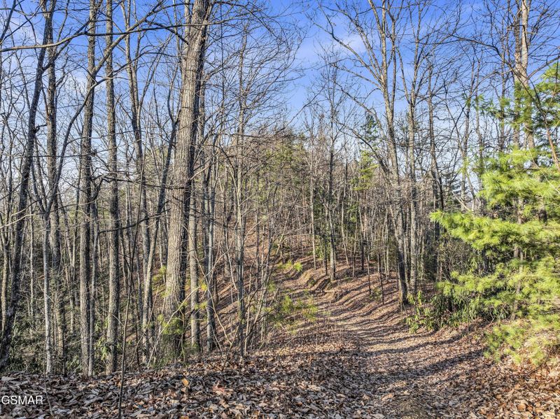 3519 Forest Trails Dr Lot R, Sevierville, TN 37876