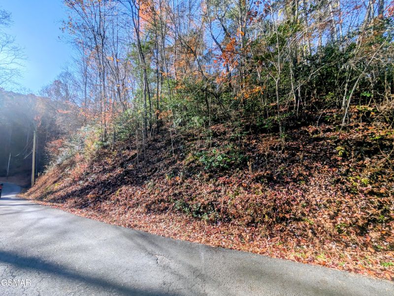 1905 Beach Front Dr Lot 1905, Sevierville, TN 37876