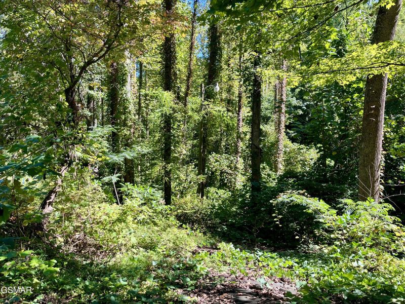 3637 Cool Creek Rd Lot 36-37, Sevierville, TN 37862