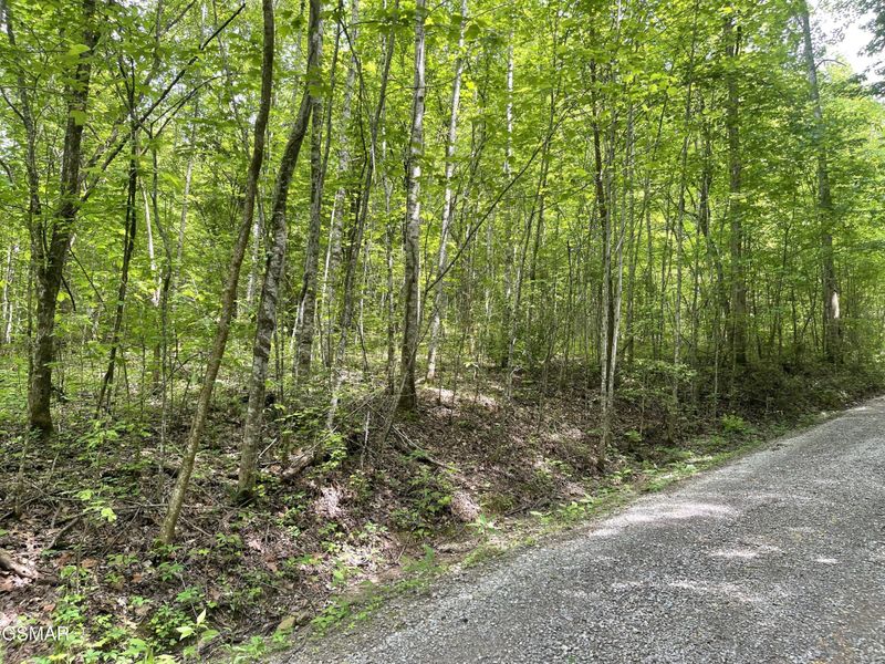 4 Walden Flats Way Lot 4, Sevierville, TN 37862