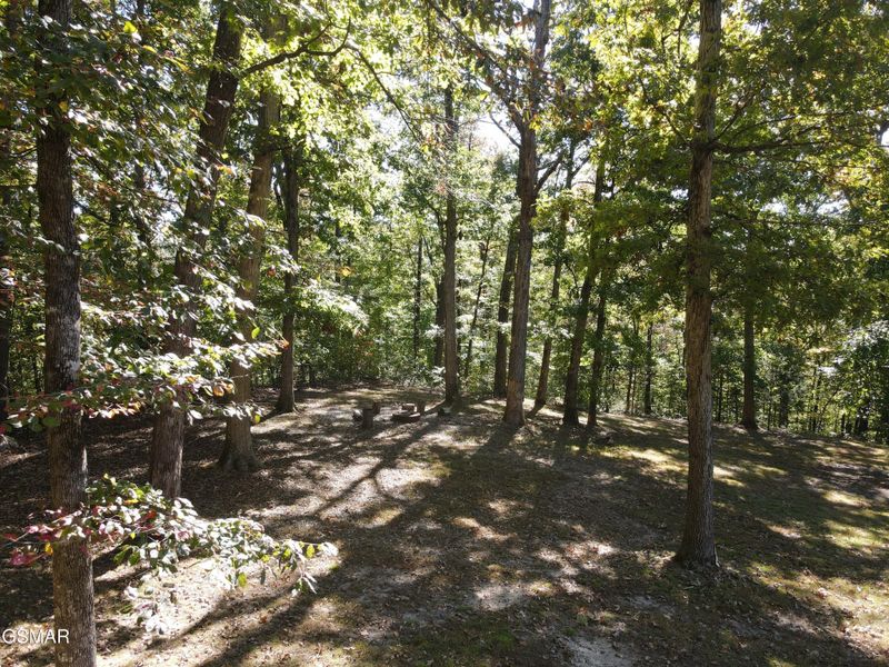 1530 Deer Browse Way, Sevierville, TN 37876