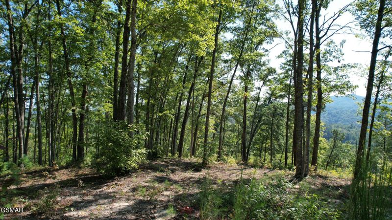 1 Sulpher Springs Way Lot 1-C, Sevierville, TN 37862