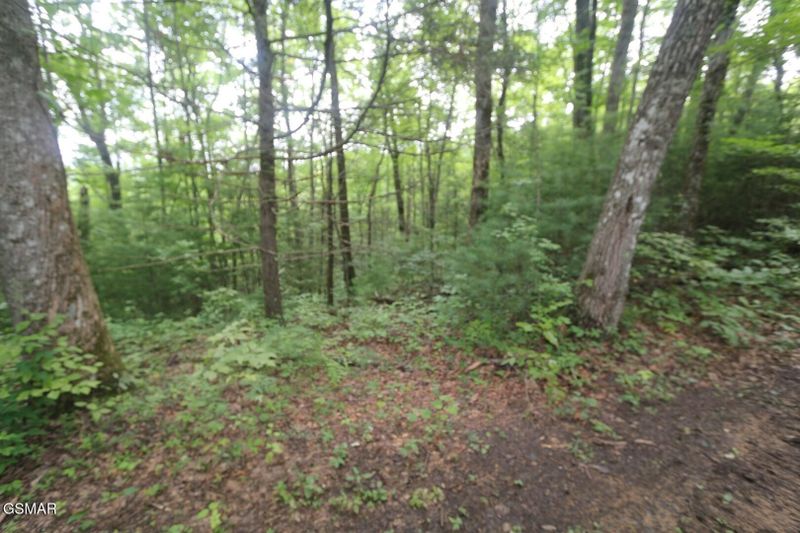 88 Amarlee Way Lot NONE, Sevierville, TN 37876