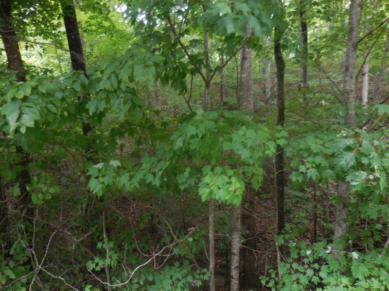 46 Murray Ridge Rd Lot 46, Sevierville, TN 37876