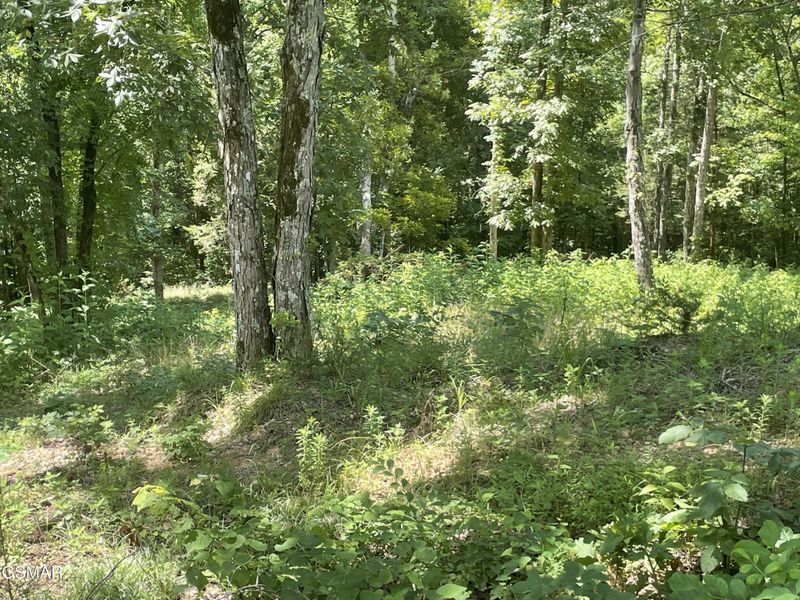 2 King Estates Rd Lot 2, Sevierville, TN 37876