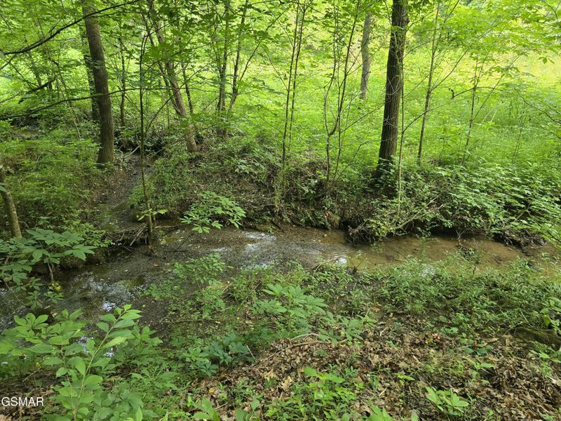 8 Mccarter Hollow Rd Lot 8, Sevierville, TN 37876