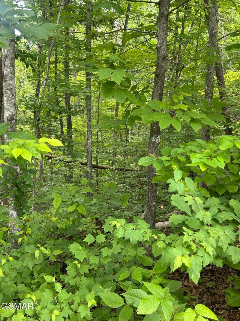 52 Emerald Way Lot 5A-2, Sevierville, TN 37876