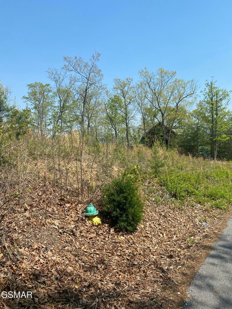 49 Cats Paw Ln Lot 49, Sevierville, TN 37862