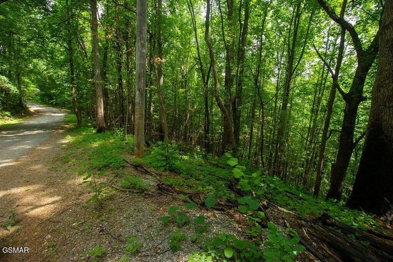 13 Sugar Maple Loop Rd Lot 13A, Sevierville, TN 37862