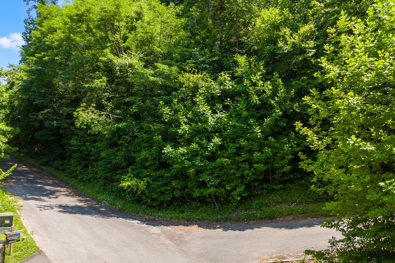 22 Wild Azalea Ln Lot 22, Sevierville, TN 37862