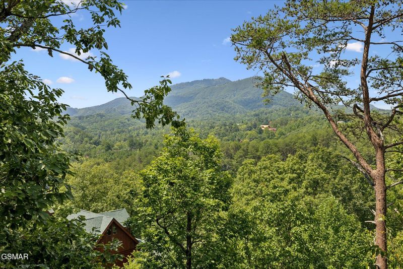 1304 Timberwolf Way, Sevierville, TN 37876