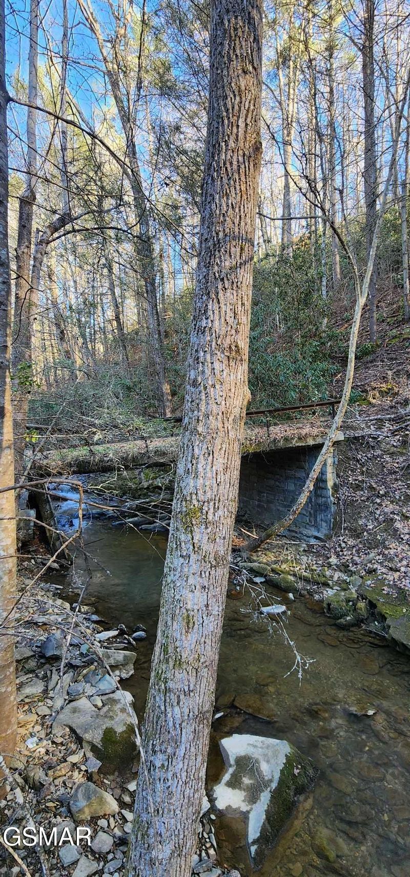 4246 Birds Creek Rd, Sevierville, TN 37876