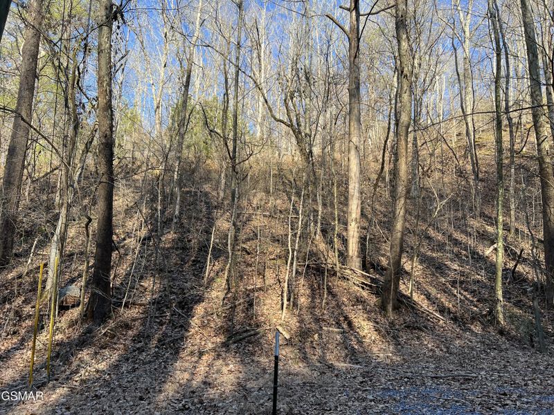 1 Indian Gap Rd Lot 1, Sevierville, TN 37876