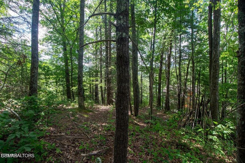 13 High Top Loop Lot 0013, Sevierville, TN 37862