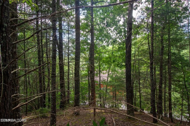 13 High Top Loop Lot 0013, Sevierville, TN 37862