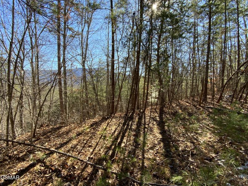 7 Hatcher Mountain Rd Lot 7-R, Sevierville, TN 37862