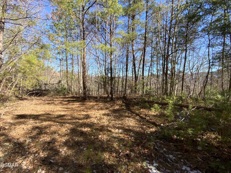 7 Hatcher Mountain Rd Lot 7-R, Sevierville, TN 37862