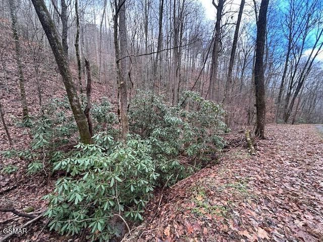 14 Black Walnut Flats Rd Lot 14, Sevierville, TN 37862